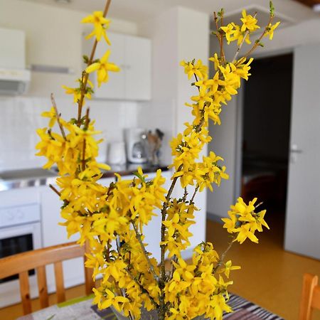 L'Oree Du Pichier Boisset  部屋 写真