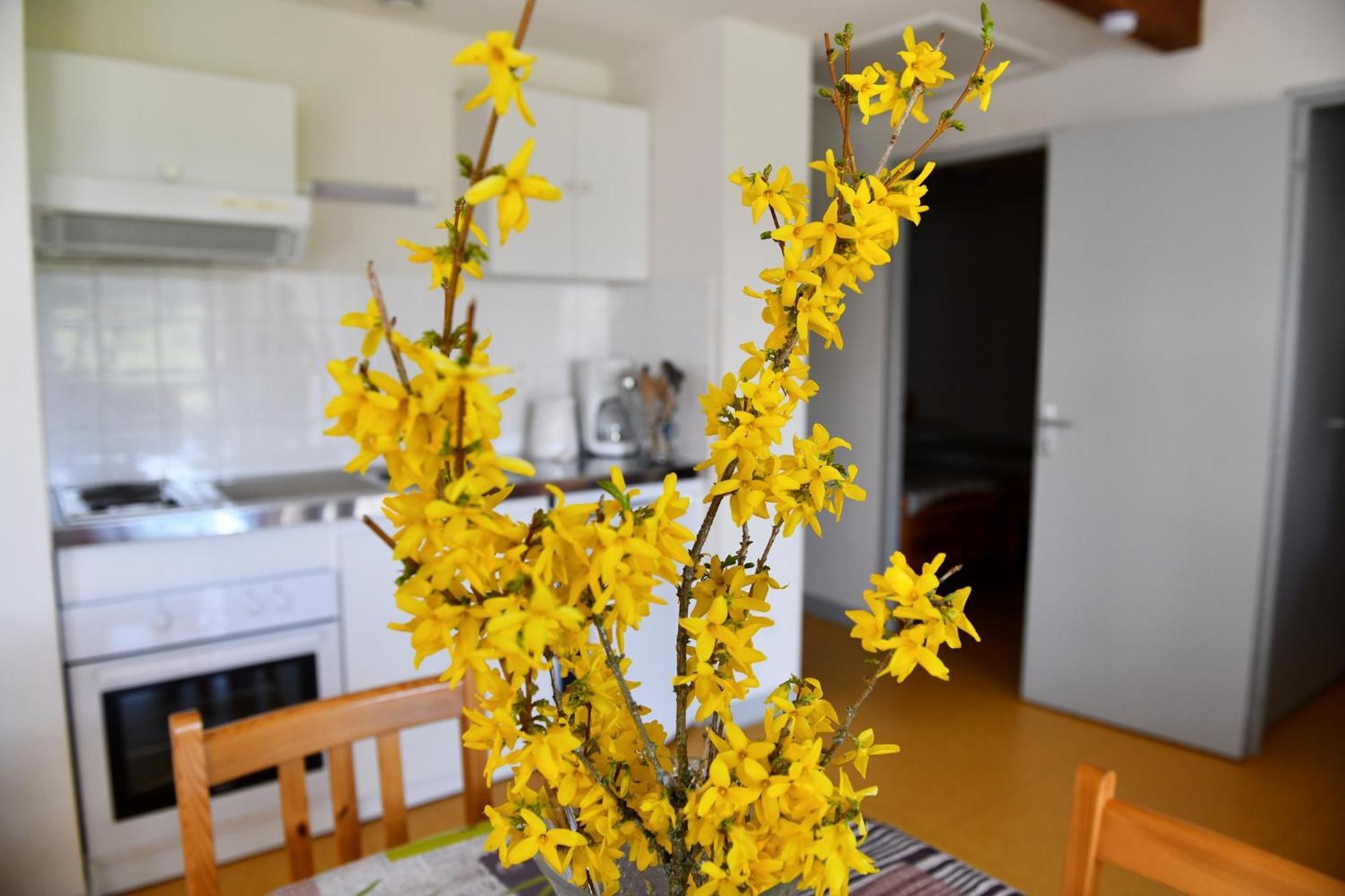 L'Oree Du Pichier Boisset  部屋 写真
